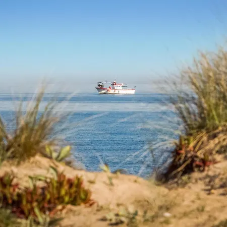 Pet Friendly In With Kitchen