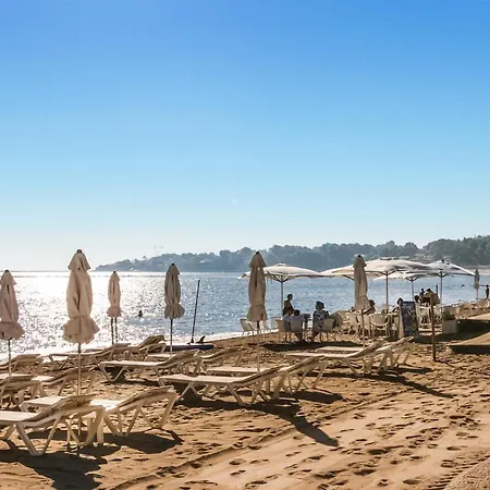 Pet Friendly In With Kitchen Vakantiehuis