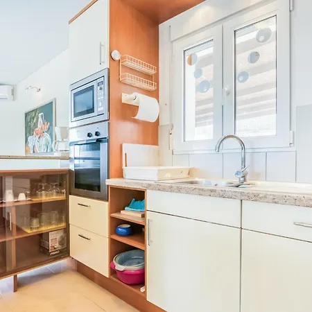 別荘 Pet Friendly In With Kitchen