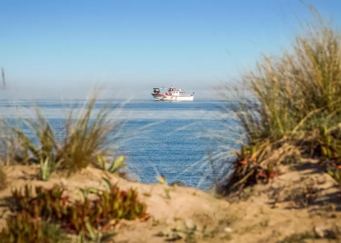 Pet Friendly In With Kitchen